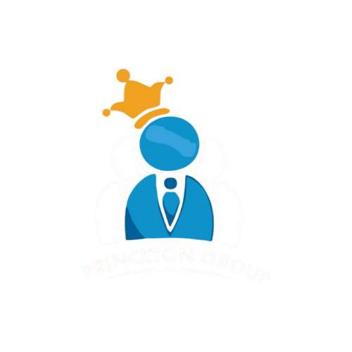 princeton group logo